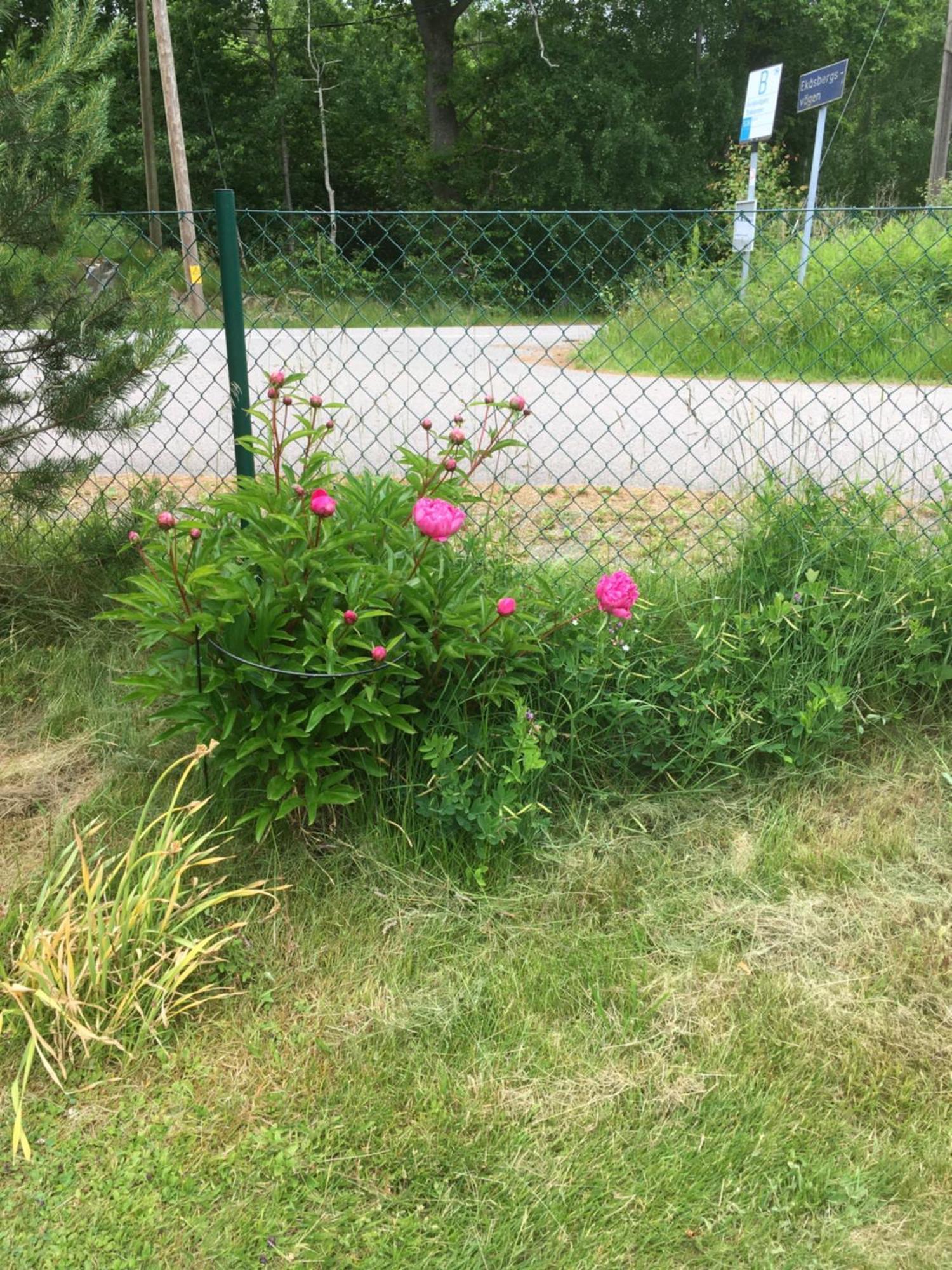 Airbnbekasberg Olofstorp Exterior photo